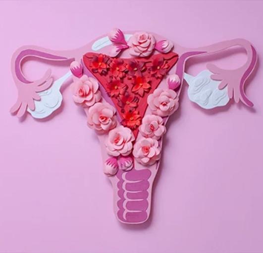 Gaziantep Genital Estetik
